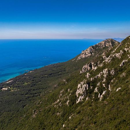 Artemis Prasoudi Beach Halikounas 外观 照片
